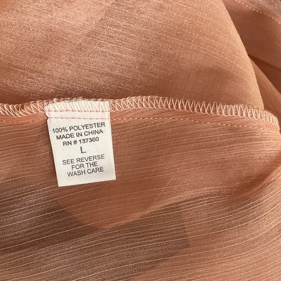 Sheer Metallic Oversized Organza Blouse - Brand New Never Worn has extra button - Picture 5 of 8